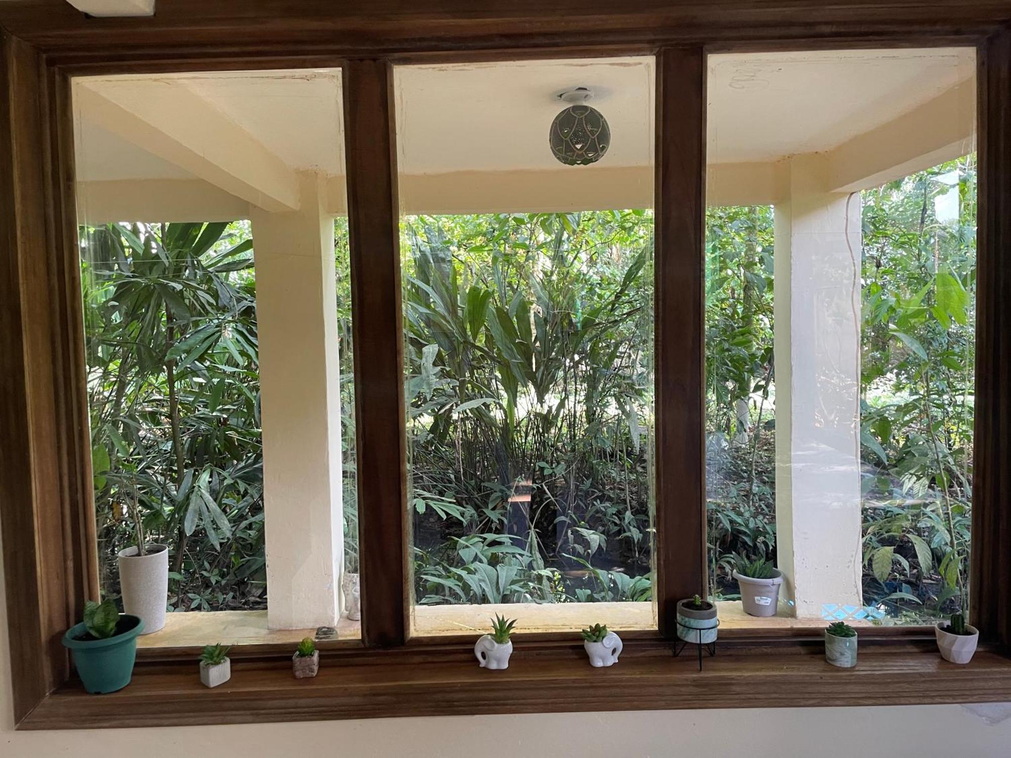 Casa Jaguar Tortuguero Villa Kültér fotó