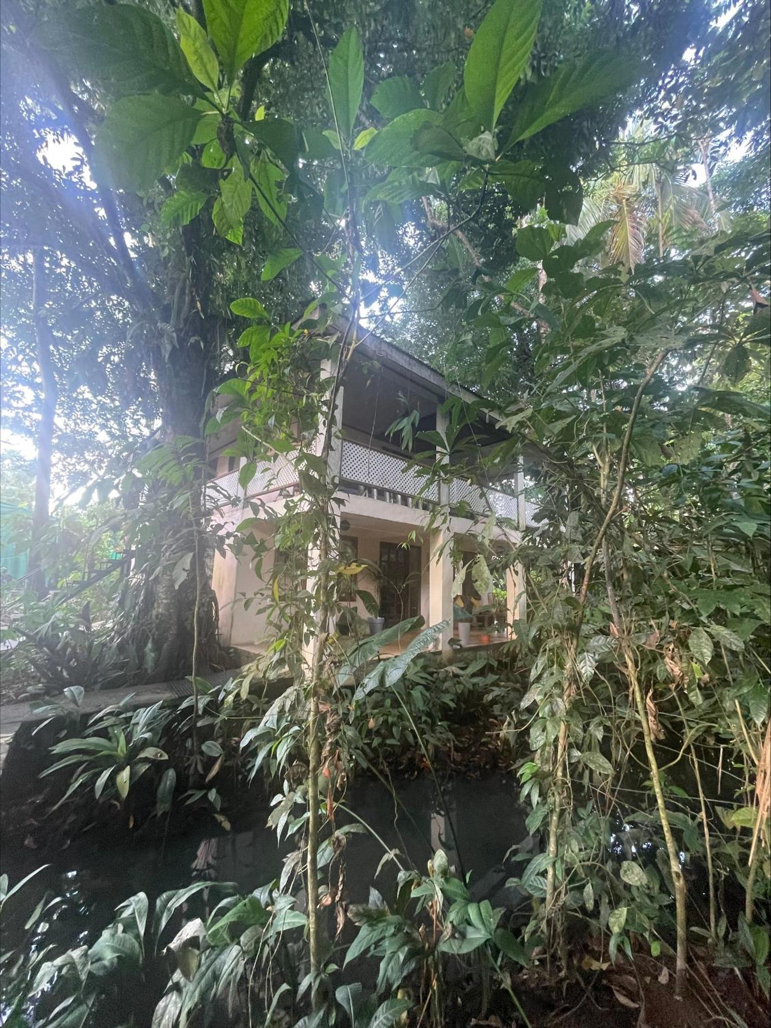 Casa Jaguar Tortuguero Villa Kültér fotó
