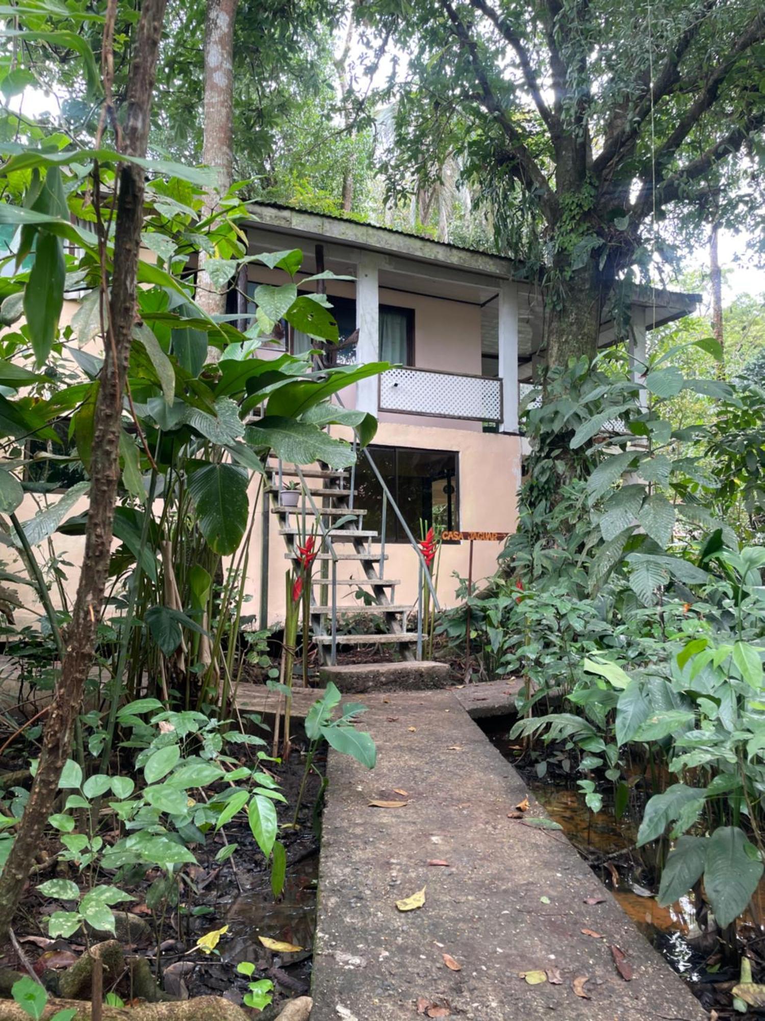 Casa Jaguar Tortuguero Villa Kültér fotó