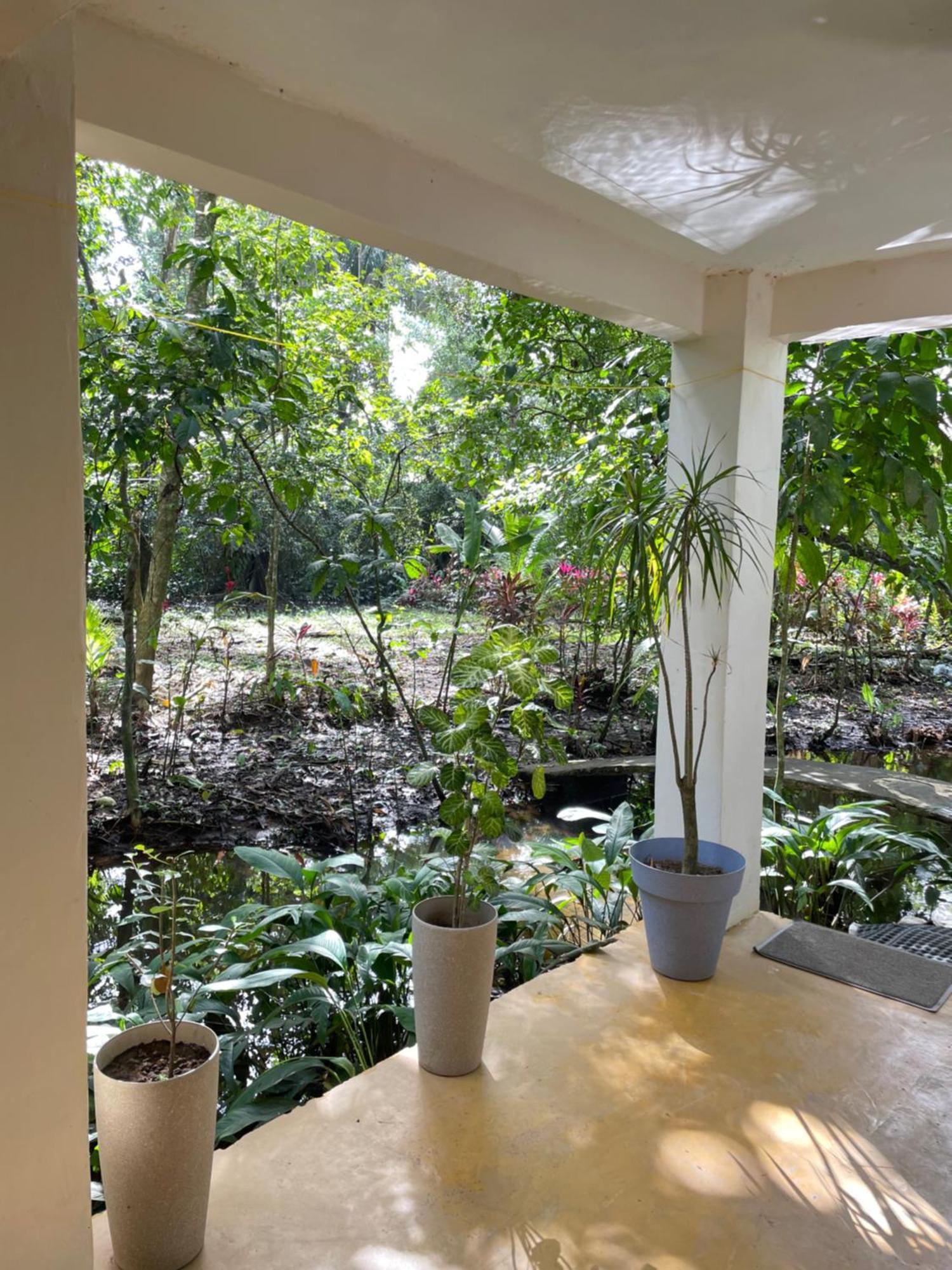 Casa Jaguar Tortuguero Villa Kültér fotó